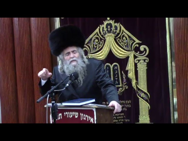 סוכות-הושענא רבה  - הרב אברהם שור