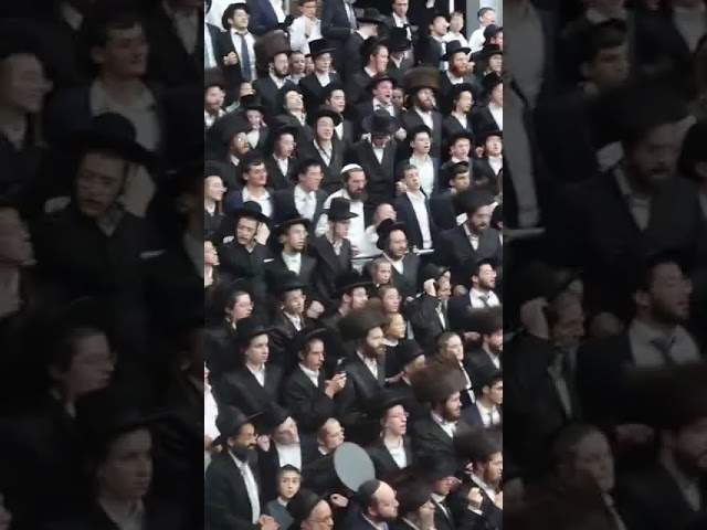אַל תַּעַזְבֵנִי • שיר מכ"ק בעל מאור ישראל מסקולען זצ"ל מקפיץ שמחת בית השואבה אצל ר' אלימלך בידרמן