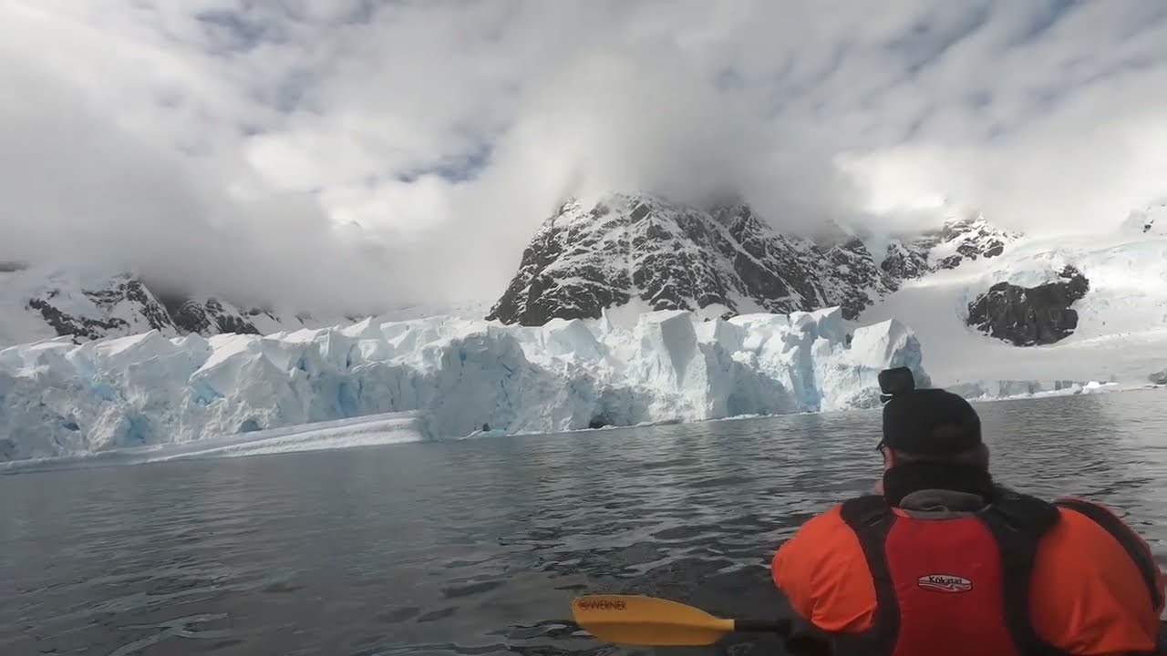 Penguins porpoising while kayaking in Antarctica