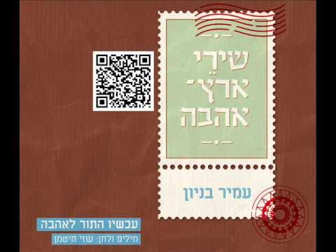 עמיר בניון עכשיו התור לאהבה Amir Benayoun