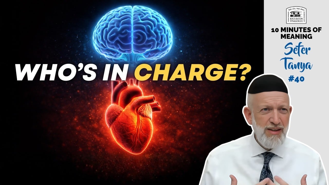 Mind vs. Heart: Who's REALLY in control? | Ten Minutes of Meaning | Tanya #40