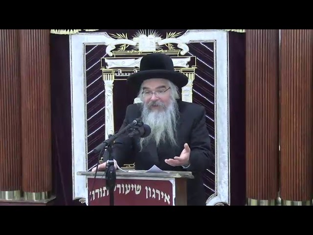 שיעור כללי בהלכות חנוכה - ר' אברהם חיים שטיינווארצעל שליט"א (תש"פ)