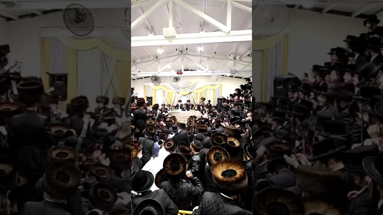 כ"ק מרן האדמו"ר שליט"א בזריקת תפוחים בשבע ברכות המרכזי שנערכה בשילוב טיש ט"ו בשבט צילום: א. אייזנבך