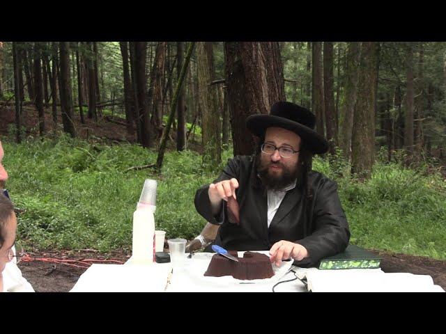 ר׳ יואל רוטה - סיום ירושלמי תרומות - ג׳ שופטים תשפ׳׳ג - R' Yoel Roth