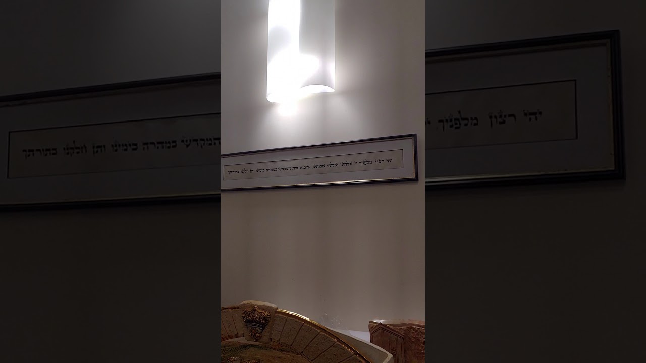 Moscow Bronya shul - Original painting from 1874 by artist who saw TT. Given as gift by Ginsburg