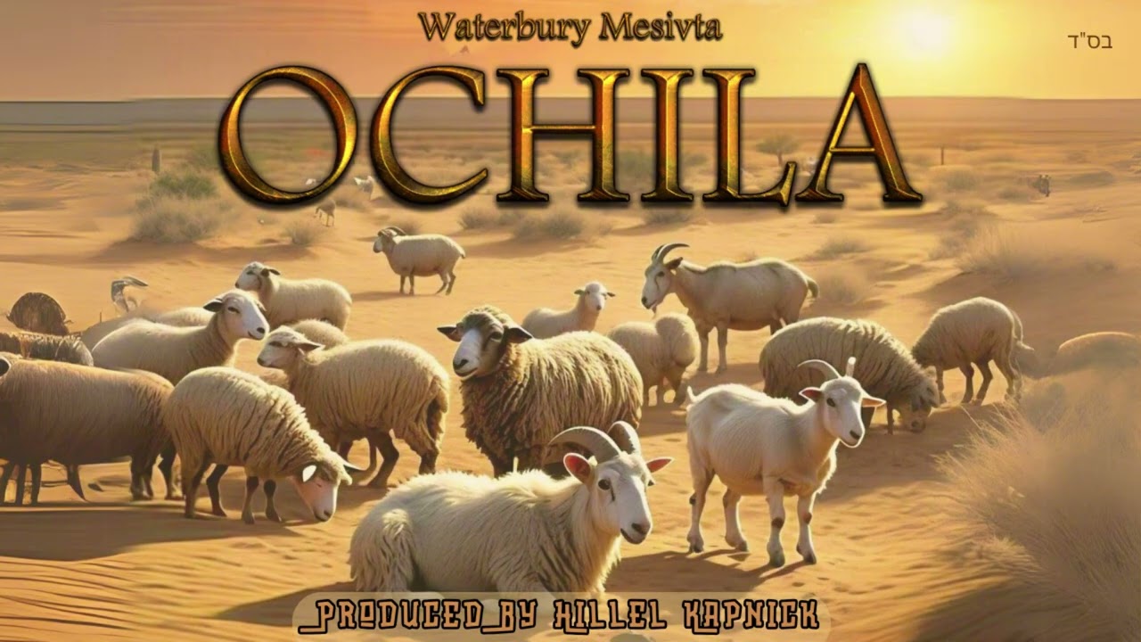 Waterbury Mesivta - Ochila