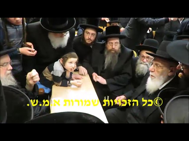 Chacham Shalom Cohen And R' Shmuel Aurbach At Nichum Aveilim In Belz - Teves 5777