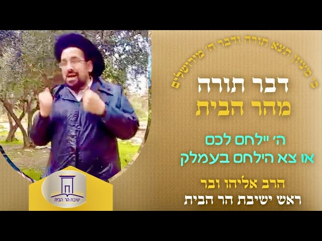 ה׳ יילחם לכם או צא הילחם בעמלק | הרב אליהו ובר