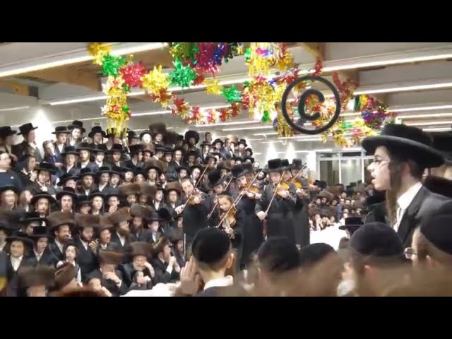 4 Boys Playing Violin For Pshevorsk Rebbe At Simchas Beis Hashoeva - Sukkos 2024