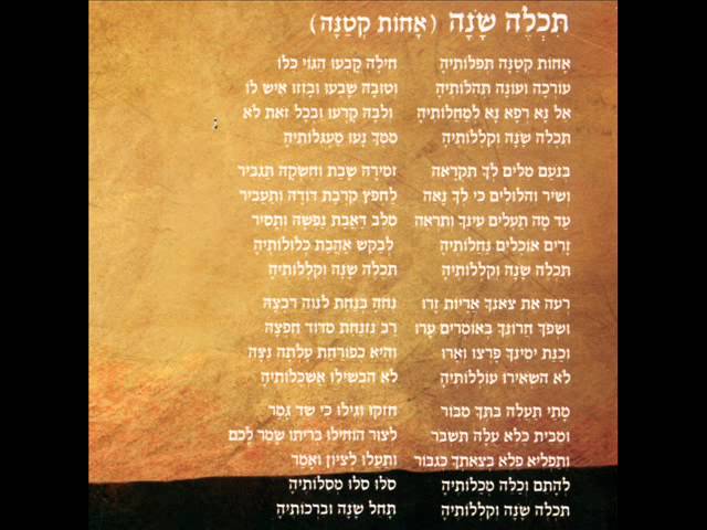 סגיב כהן - תכלה שנה (אחות קטנה)