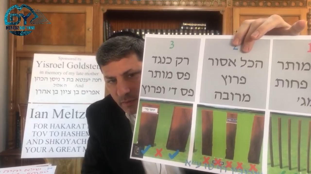 Daf Yomi Eruvin Daf 16 by R’ Eli Stefansky