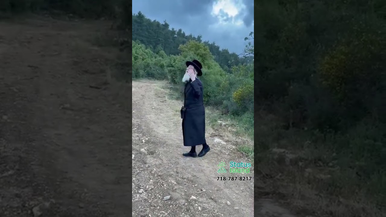 Not easy to get to Reb Shimon this year! Thestatusisland.com