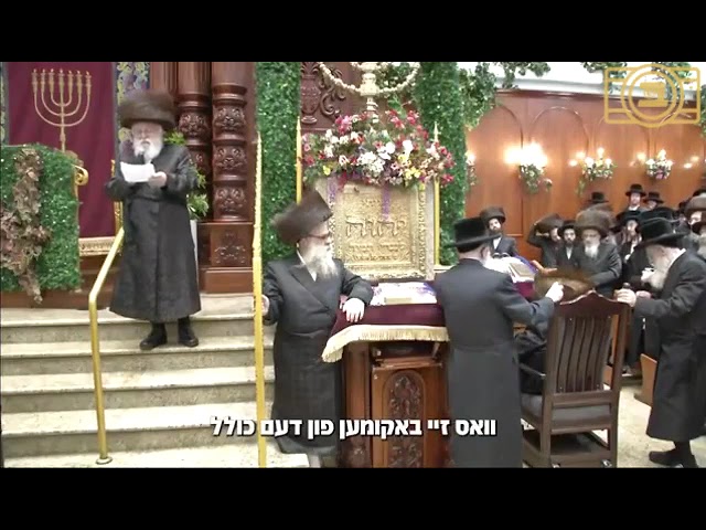 ירושלים רבי