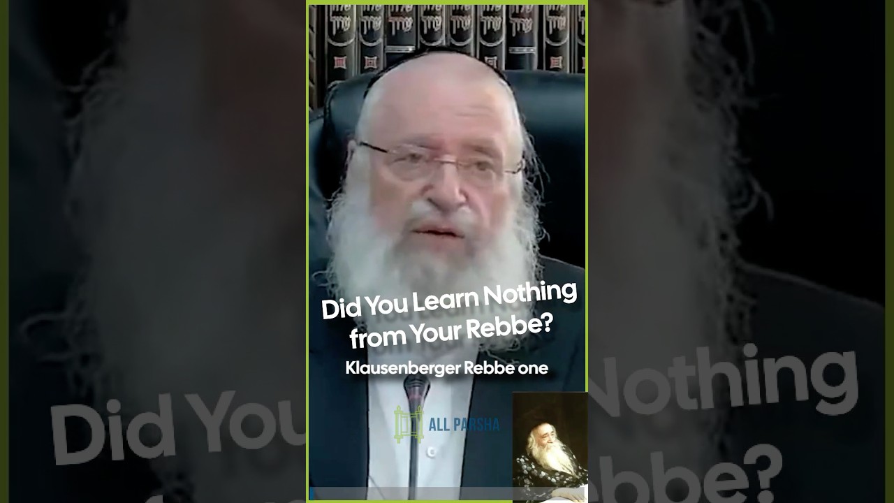 Did You Learn Nothing From Your Rebbe?
