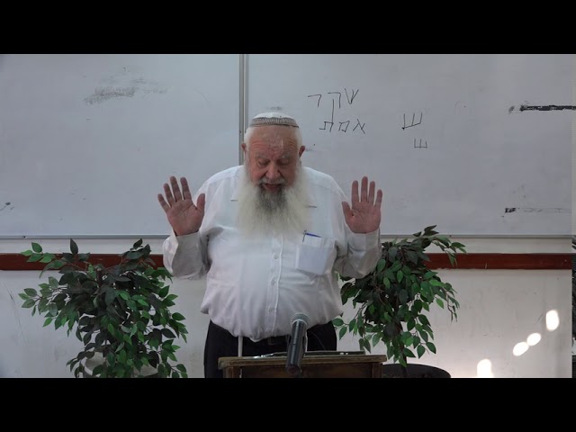 לך לך  תשע"ח