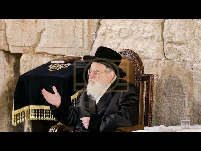 כ"ק אדמו"ר מוויזניץ שליט"א ביים כותל המערבי