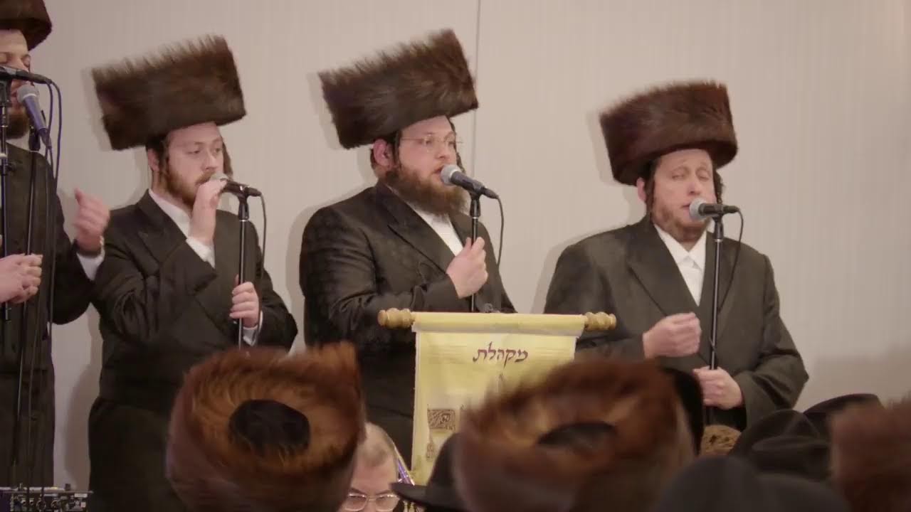 Siyum on Seder Moed - DIRSHU - Connecticut | סיום סדר מועד ומלווה מלכה 'דרשו' - קונטיקט