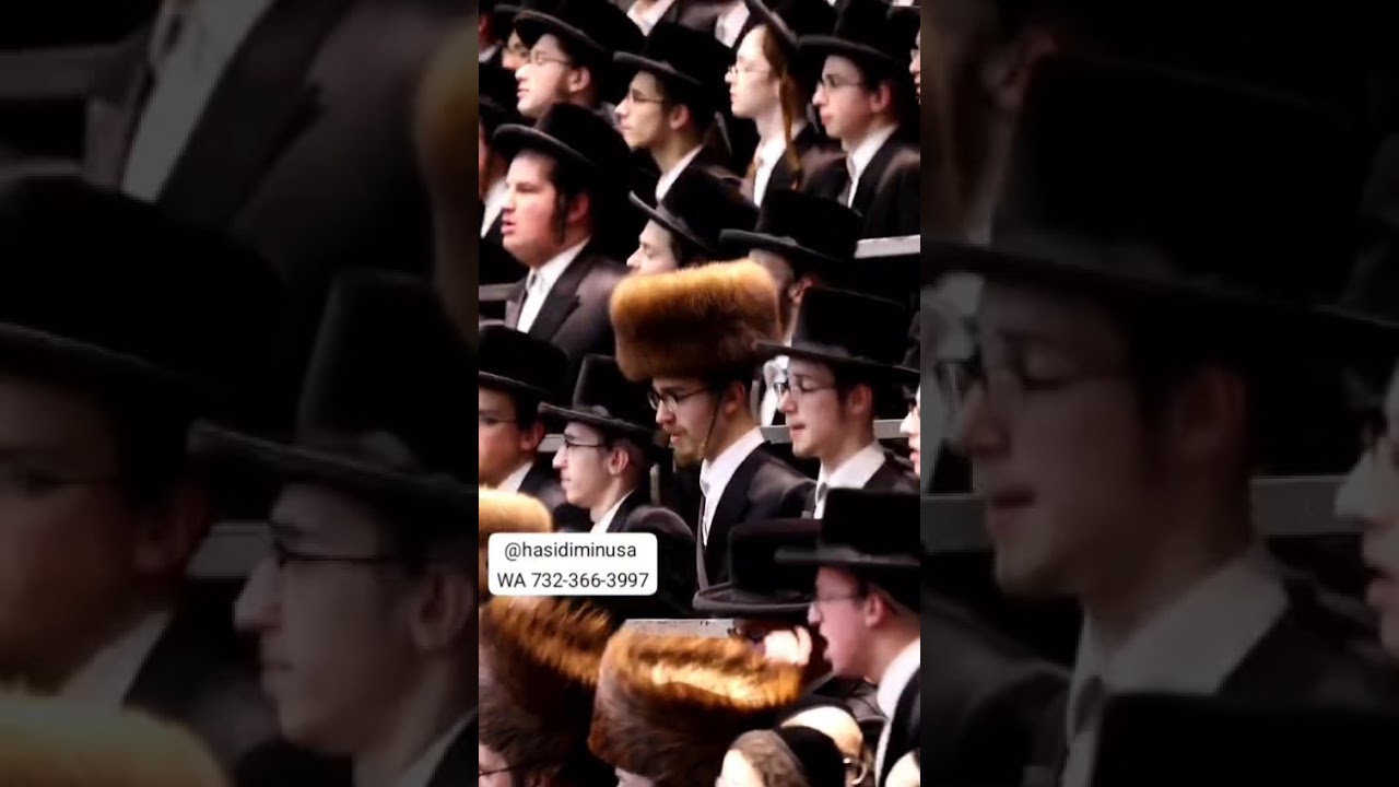Highlights of the wedding in Skver - Kislev 5786