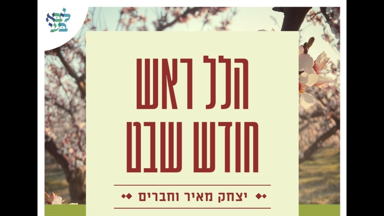 יצחק מאיר - הלל ראש חודש שבט (לייב מבית ליבא-בעי)