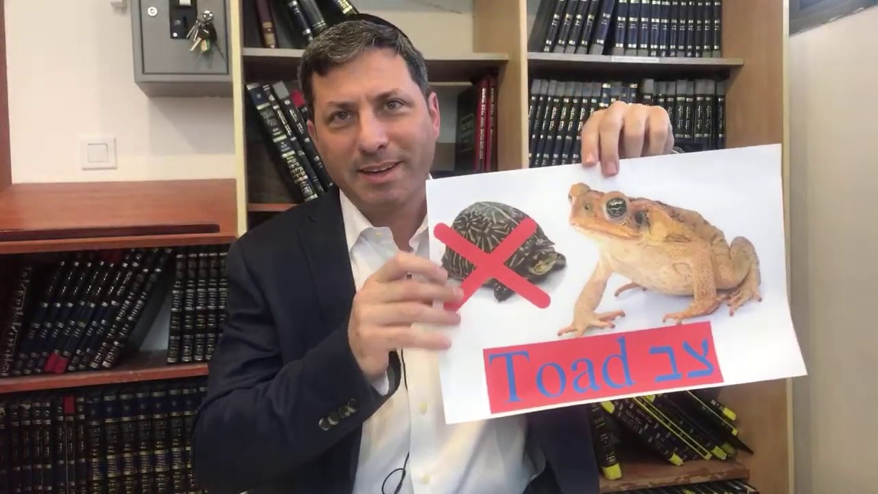 Daf Yomi Niddah Daf  56 by R’ Eli Stefansky