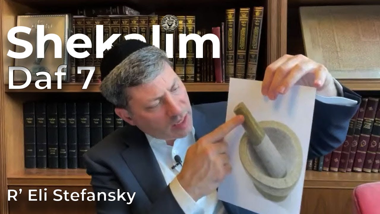 Daf Yomi Shekalim Daf 07 by R’ Eli Stefansky
