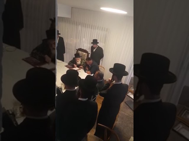 כ"ק אדמו"ר מוויזניץ שליט"א באזוכט אין אשקלון