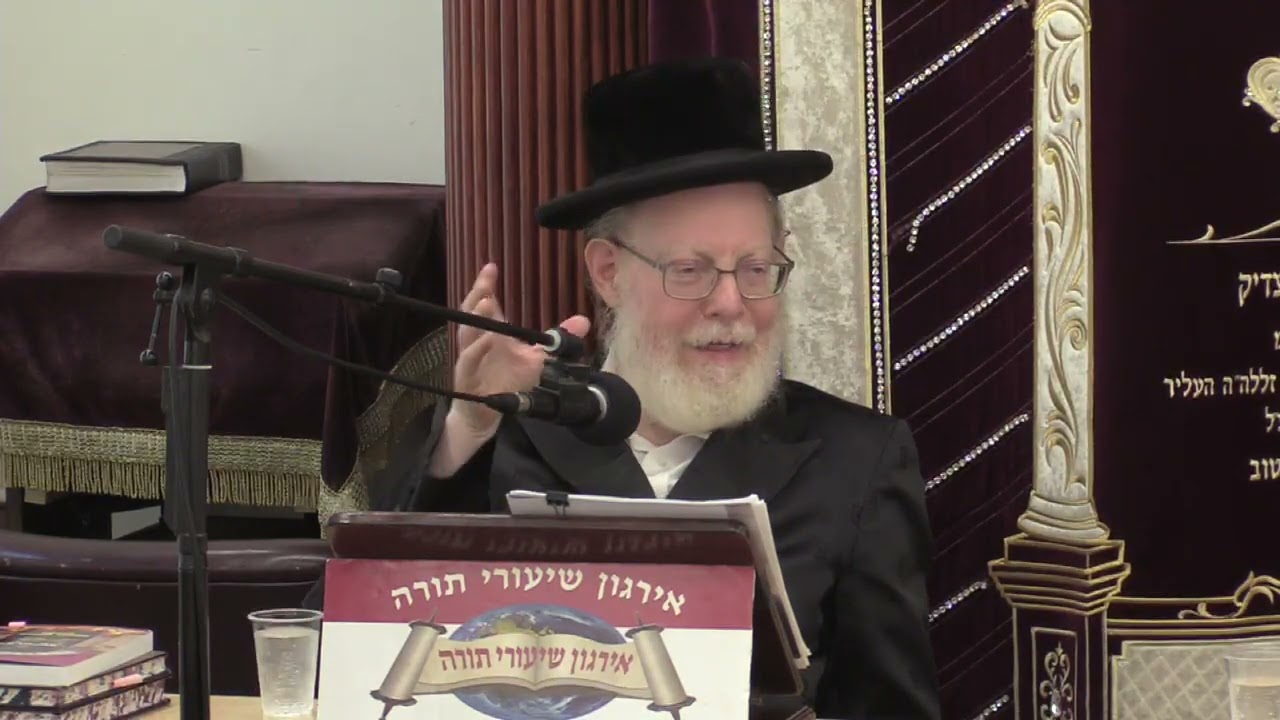 תורתו מגן לנו היא מאירת עינינו  - ל"ג בעומר - ר' מאיר פעלדבראנד שליט"א