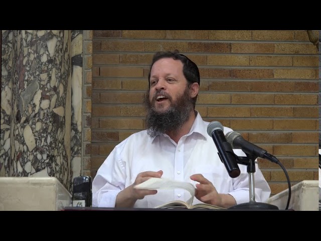 נטילת לולב כל שבעה - והמסתעף מכך לענין דיחוי במצוות ולענין ברכת הלולב