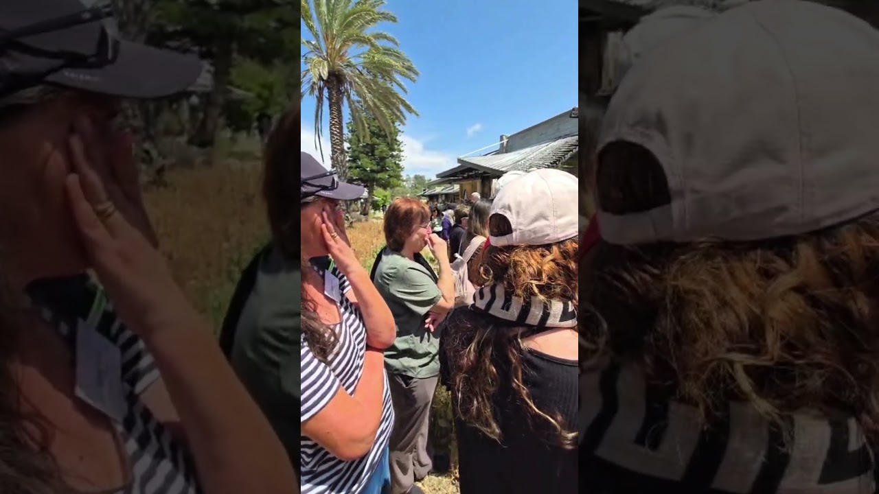 שי וינר יום הזיכרון כפר עזה מול פרופסורים מהאוניברסיטה העברית #music #אהבתישראל #song #live #talent