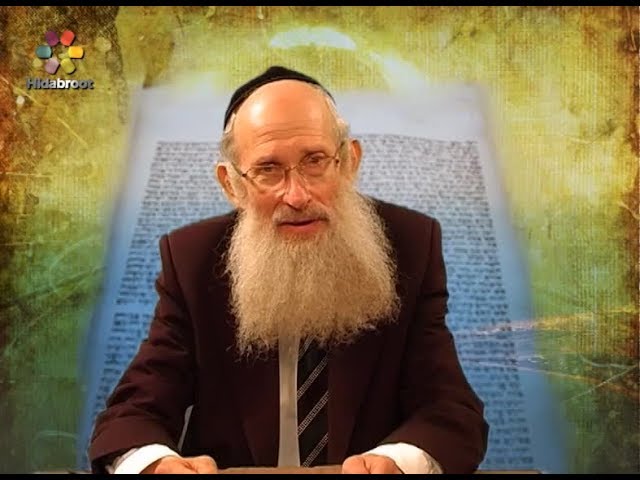 A Union is to be One - Part 2 - Rabbi Samuel Steinhaus