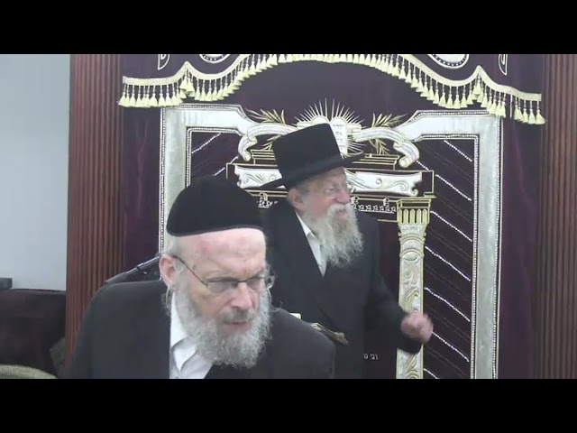 חביבין ישראל שנבראו בצלם : צורת האדם בהלכה ואגדה - ר' אליעזר דוד ראפפארט שליט"א