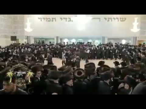 חתונה פון נכד אב''ד סאטמאר מאנטשעסטער מיט בת אב''ד סאטמאר לאנדאן