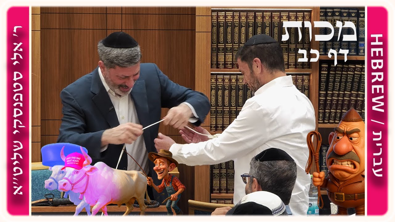 מרכז דף יומי - מכות דף כב. - ר' אלי סטפנסקי שליט"א