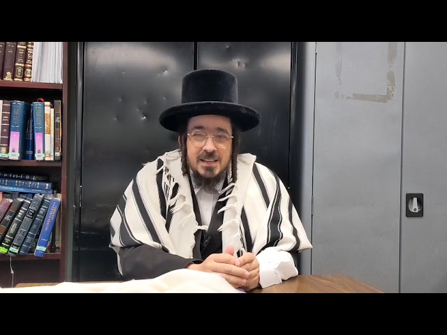 The Dead Sea and The Sea of Life - Hebrew Parsha Shiur by Rav Benzion Sneh at Scheiner's July 22