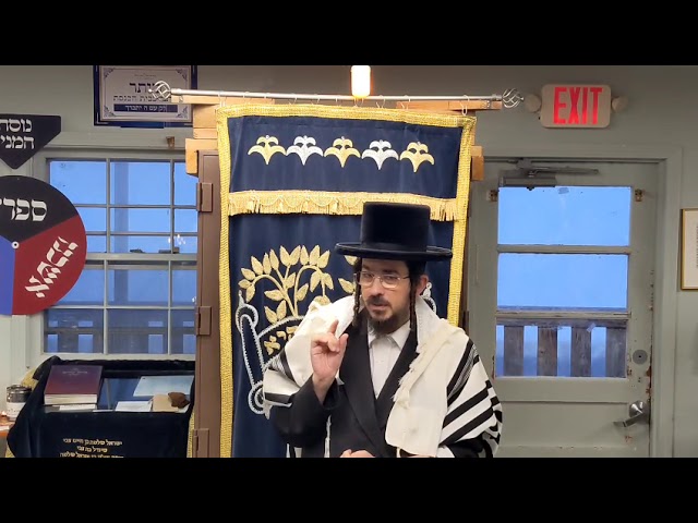 מחיית עמלק ולא לשכוח - Daily Shiur by Rav Benzion Sneh Sunday Feb 22 at Scheiner's