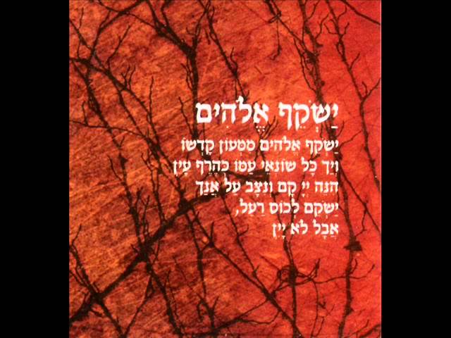 סגיב כהן - ישקף |  Sagiv Cohen - Yashkef