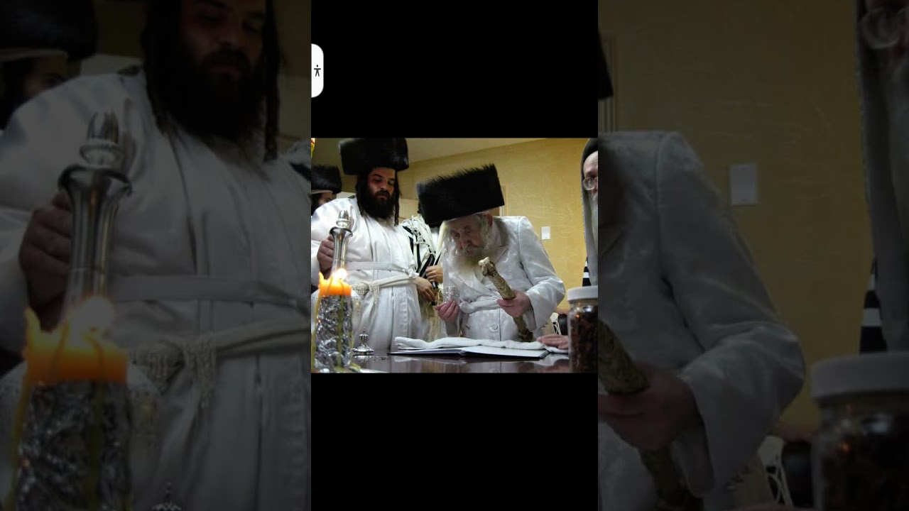 רבי