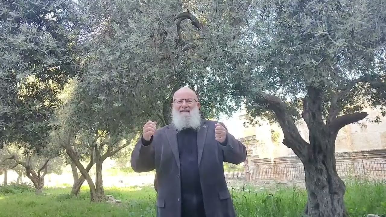 ממעשה העגל והתיקון של אהרון הכהן ועד ללוחמי חיל האוויר | הרב יואל אליצור