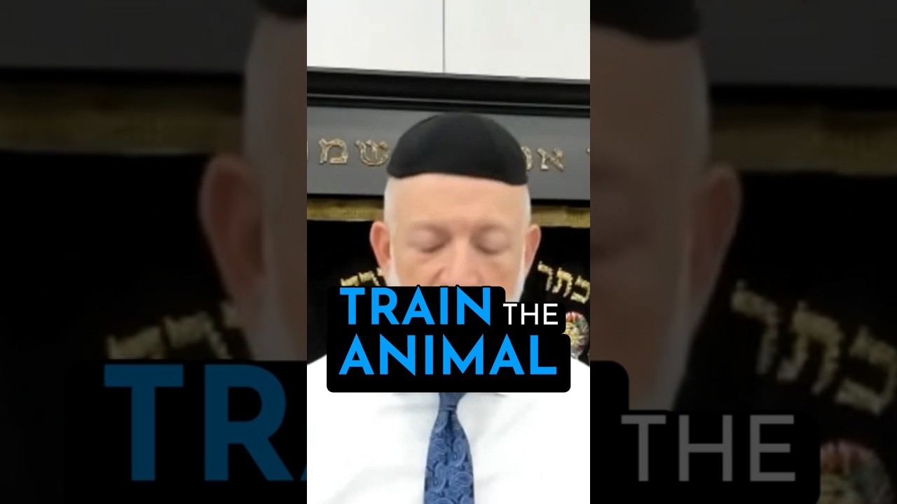 TRAIN the ANIMAL
