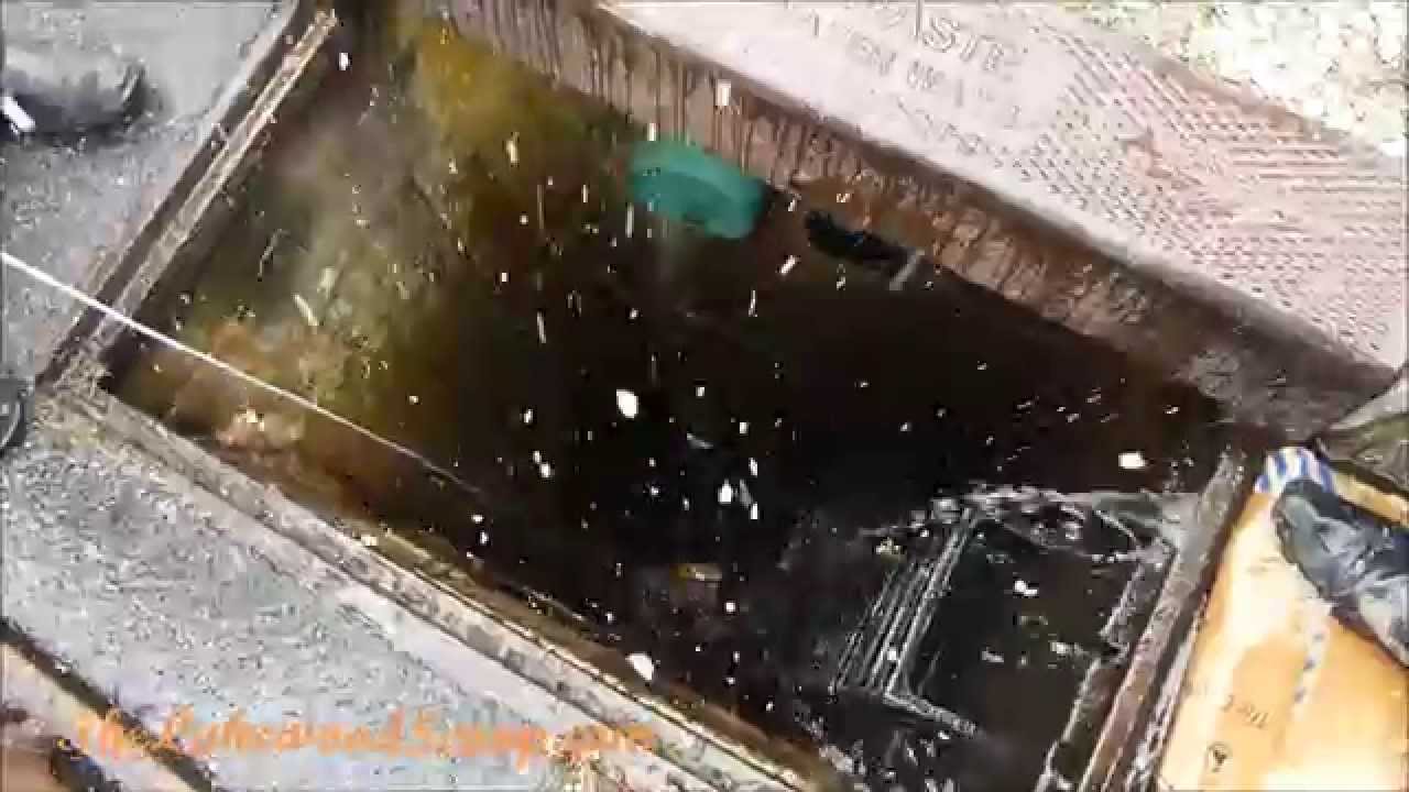Lakewood Chaveirim Rescues Freezing Kitten from Storm Drain