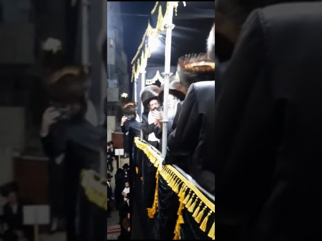 הגה"צ רבי חיים צבי מייזליש שליט"א ר"י סאטמאר ב"ב בריקוד לאחר חופת בנו - ט"ז כסלו תשפ"ד
