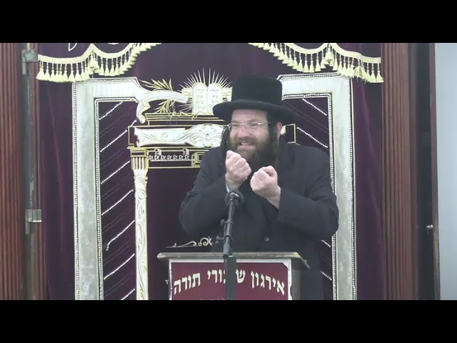 דיני קנס לתלמידים ועוד  - ר' אברהם שווארץ שליט"א