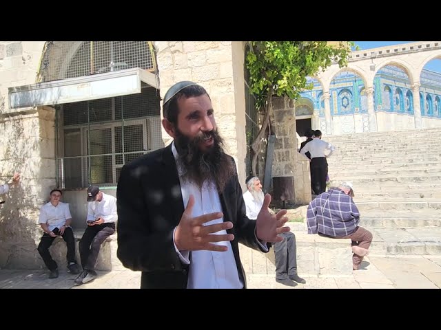 איך אפשר שלא לעלות להר הבית?! • פרשת פינחס | הרב אלישע וולפסון