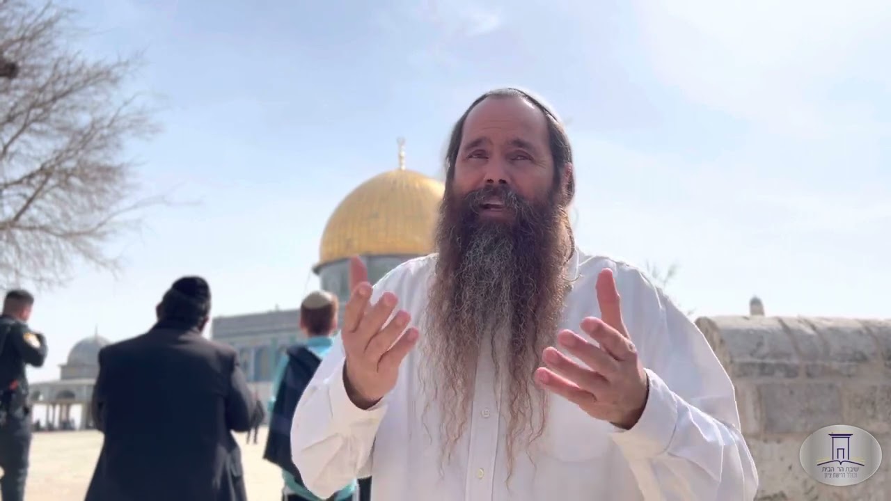פרשת פקודי | הרב אריה ליפו