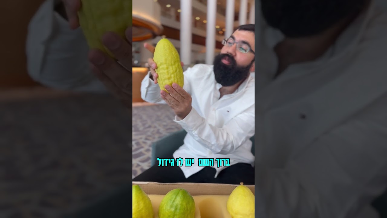האתרוגים היקרים בעולם #לאהאמנתיעדשבאתילראות