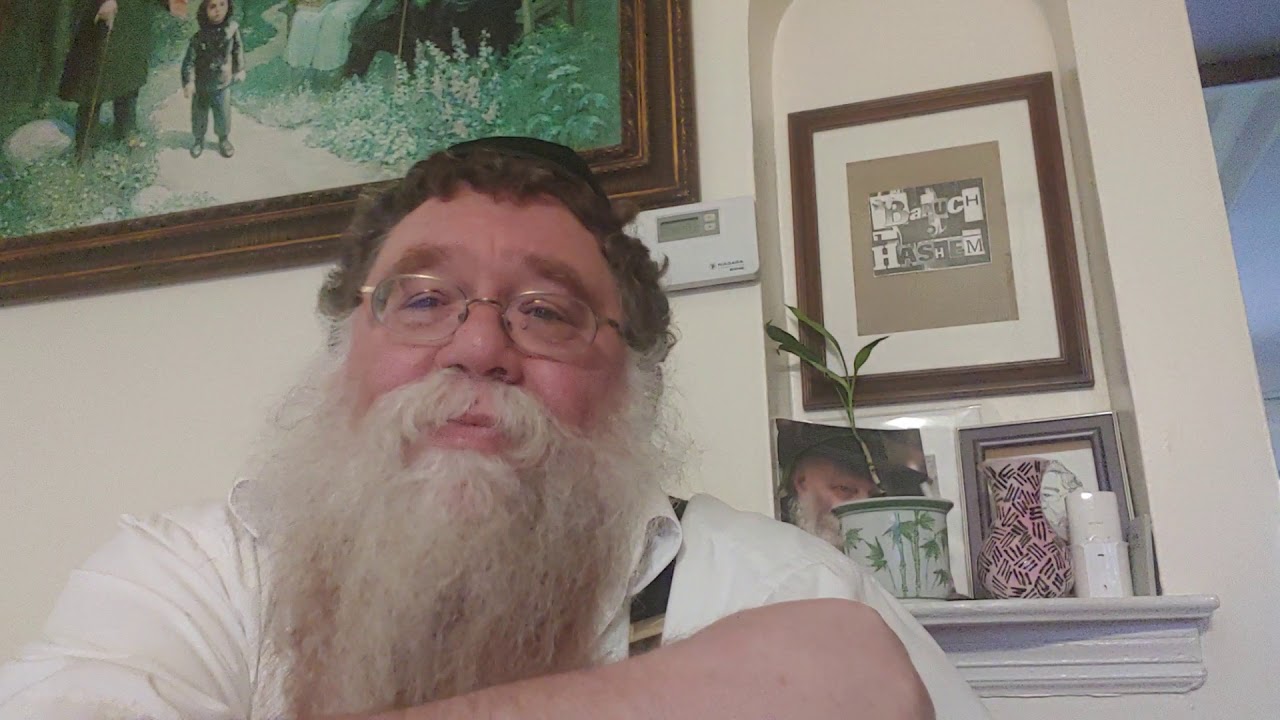 Reb Meilech Zwiebel's Punch - Simcha Power