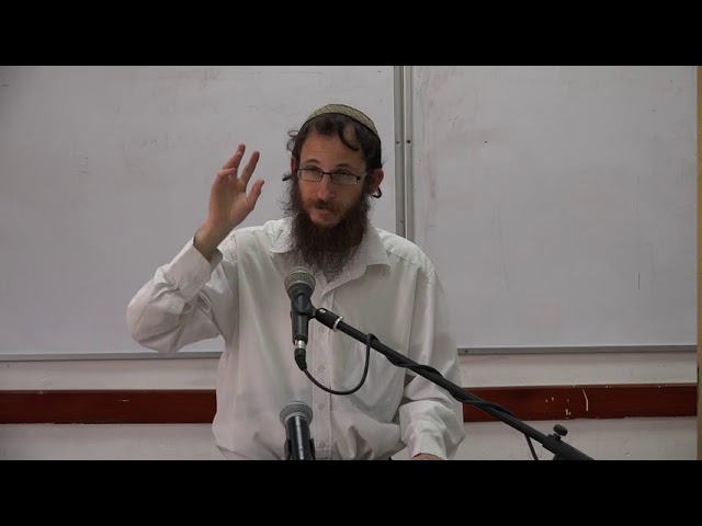 האם גדולי ישראל התנגדו לעליה?