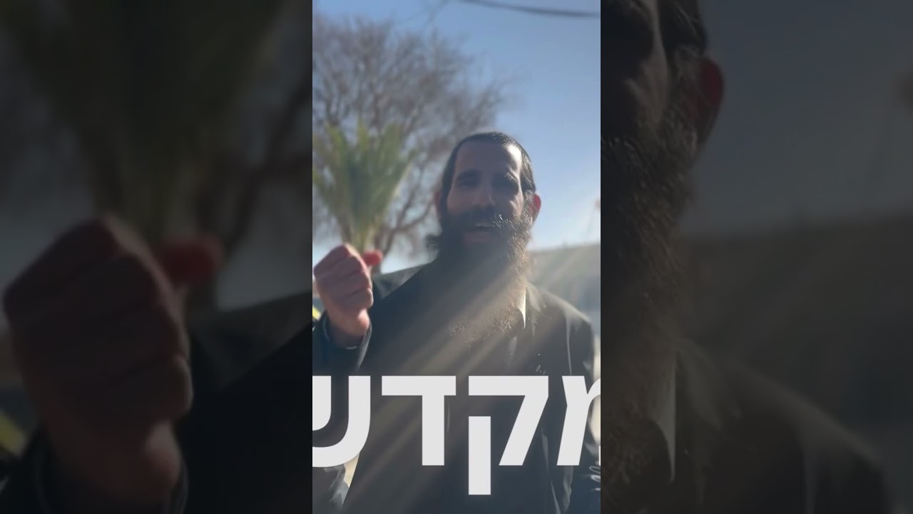 עם ישראל מהחיזיון בים ועד למקדש ה׳ כוננו ידיך 🙌
