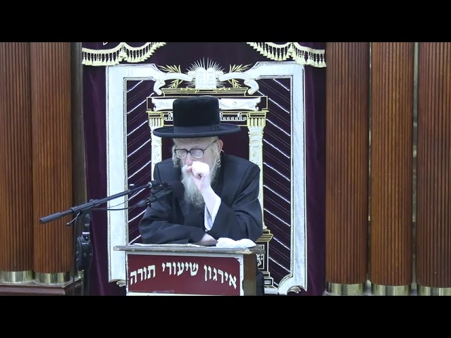 שאלות ותשובות לקיץ - בעיר, בקאנטרי, בהאטעל, דיני בין המצרים - ר' יחיאל מיכל שטיינמעטץ שליט"א