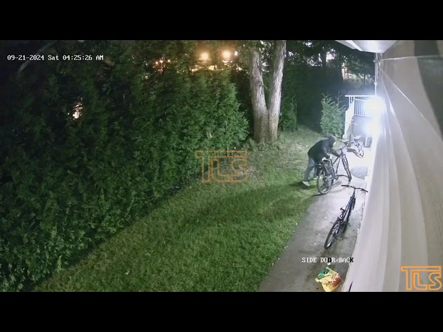 Bike thief Lakewood